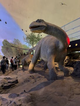 福井県立恐竜博物館に投稿された画像（2026/3/1）