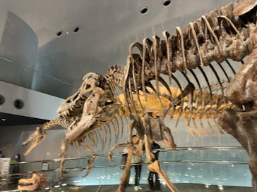 福井県立恐竜博物館に投稿された画像（2026/3/1）