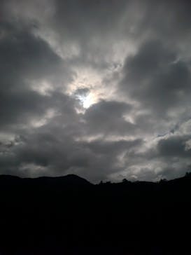 大井川鐵道株式会社に投稿された画像（2026/3/1）