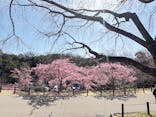 名古屋市東山動植物園に投稿された画像（2026/3/2）
