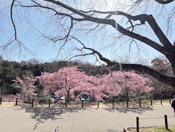 名古屋市東山動植物園に投稿された画像（2026/3/1）