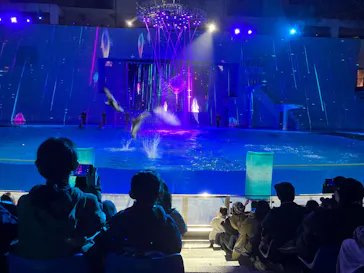 横浜・八景島シーパラダイスに投稿された画像（2026/3/1）