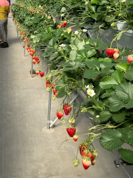 東松山市農林公園に投稿された画像（2026/3/1）