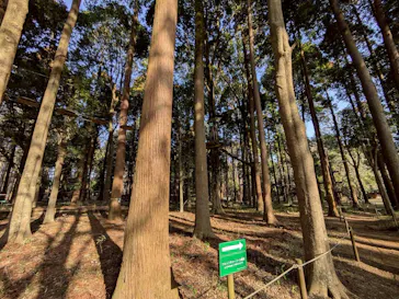 フォレストアドベンチャー・千葉に投稿された画像（2026/3/1）