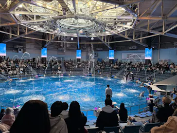 マクセル アクアパーク品川に投稿された画像（2026/3/1）