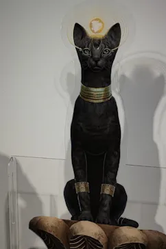 IMMERSIVE JOURNEY 名古屋に投稿された画像（2026/3/1）