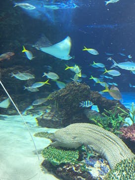 サンシャイン水族館に投稿された画像（2026/3/1）