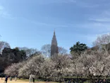 新宿御苑に投稿された画像（2026/3/2）