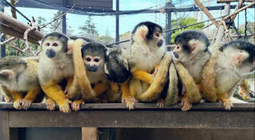 伊豆シャボテン動物公園に投稿された画像（2026/3/1）