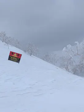 星野リゾート　トマムスキー場に投稿された画像（2026/3/2）