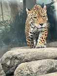 天王寺動物園に投稿された画像（2026/3/2）