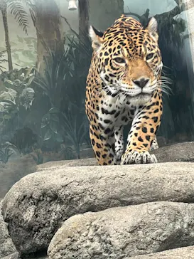 天王寺動物園に投稿された画像（2026/3/2）