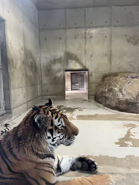 天王寺動物園に投稿された画像（2026/3/2）