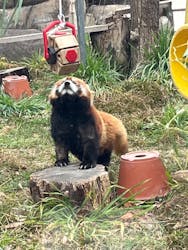 天王寺動物園に投稿された画像（2026/3/2）