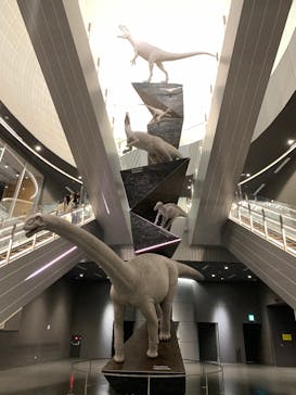 福井県立恐竜博物館に投稿された画像（2026/3/2）