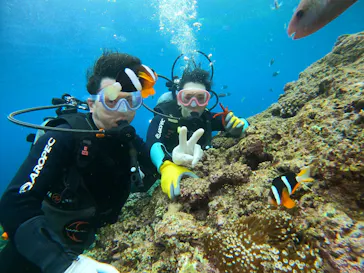 武藤潜水に投稿された画像（2026/3/2）