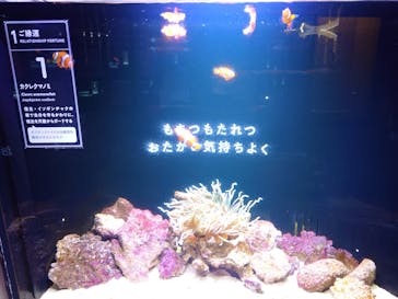 横浜開運水族館 フォーチュンアクアリウムに投稿された画像（2026/3/2）