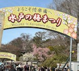 偕楽園本園に投稿された画像（2026/3/2）