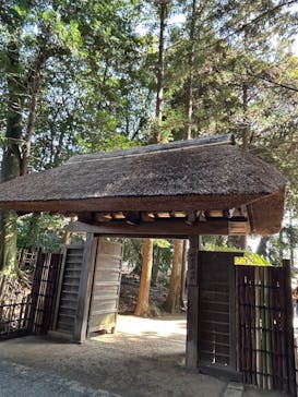 偕楽園本園に投稿された画像（2026/3/2）