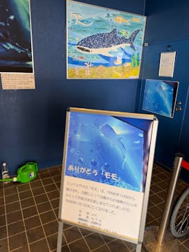 のとじま水族館に投稿された画像（2026/3/2）