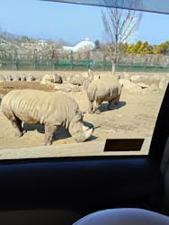 群馬サファリパークに投稿された画像（2026/3/2）