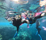 沖縄マリンサービス碧に投稿された画像（2026/3/2）