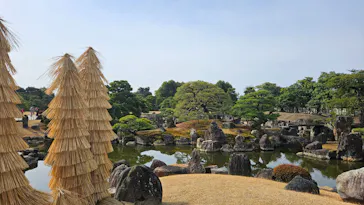 元離宮二条城に投稿された画像（2026/3/2）