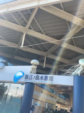 新江ノ島水族館に投稿された画像（2026/3/2）