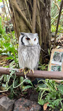 伊豆シャボテン動物公園に投稿された画像（2026/3/2）