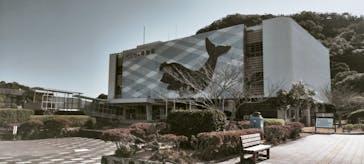 太地町立くじらの博物館に投稿された画像（2026/3/2）