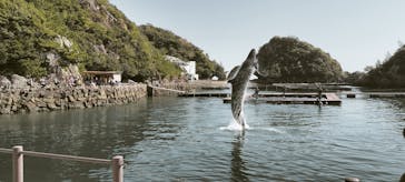 太地町立くじらの博物館に投稿された画像（2026/3/2）