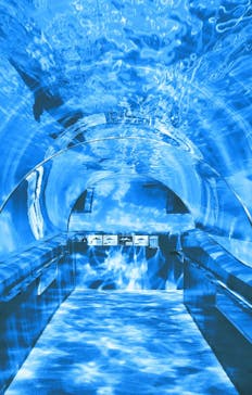 太地町立くじらの博物館に投稿された画像（2026/3/2）