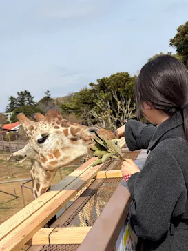 伊豆シャボテン動物公園に投稿された画像（2026/3/2）