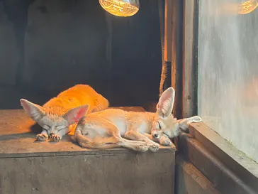 伊豆シャボテン動物公園に投稿された画像（2026/3/2）