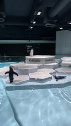 AOAO SAPPOROに投稿された画像（2026/3/2）