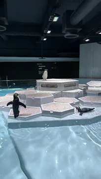 AOAO SAPPOROに投稿された画像（2026/3/2）