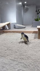 AOAO SAPPOROに投稿された画像（2026/3/2）