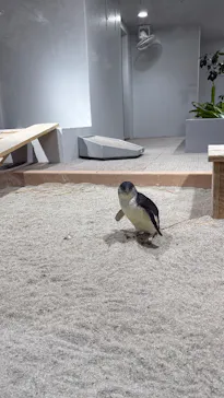 AOAO SAPPOROに投稿された画像（2026/3/2）