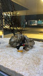 AOAO SAPPOROに投稿された画像（2026/3/2）