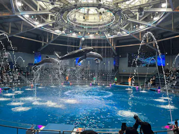 マクセル アクアパーク品川に投稿された画像（2026/3/2）