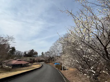 南平台温泉　観音湯に投稿された画像（2026/3/2）