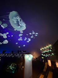 九十九島パールシーリゾートに投稿された画像（2026/3/2）