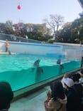 しながわ水族館に投稿された画像（2026/3/2）