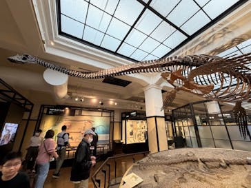 国立科学博物館に投稿された画像（2026/3/2）