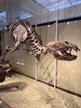 国立科学博物館に投稿された画像（2026/3/2）