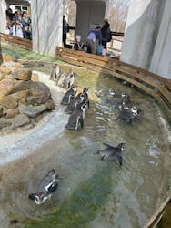 那須どうぶつ王国に投稿された画像（2026/3/2）