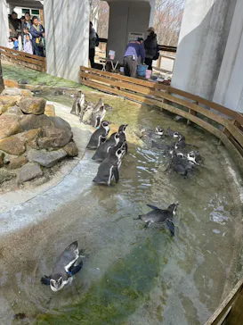 那須どうぶつ王国に投稿された画像（2026/3/2）