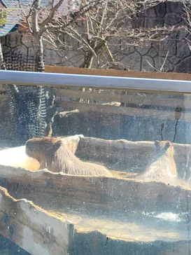 那須どうぶつ王国に投稿された画像（2026/3/2）