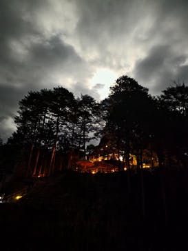 大井川鐵道株式会社に投稿された画像（2026/3/2）