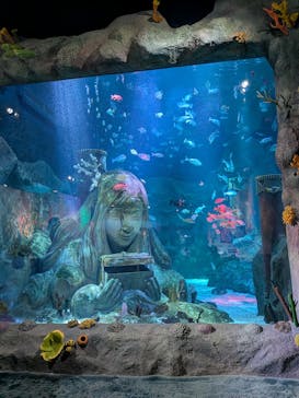 レゴランドⓇ・ジャパン・リゾートに投稿された画像（2026/3/2）